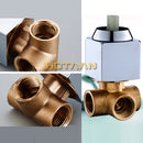 Torneira para chuveiro quente/frio Premium